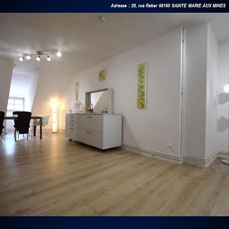 Aux Souvenirs D'anaelle 5 Personnes Apartment Sainte-Marie-aux-Mines
