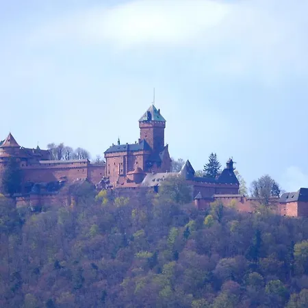 Aux Souvenirs D'anaelle 5 Personnes * Sainte-Marie-aux-Mines